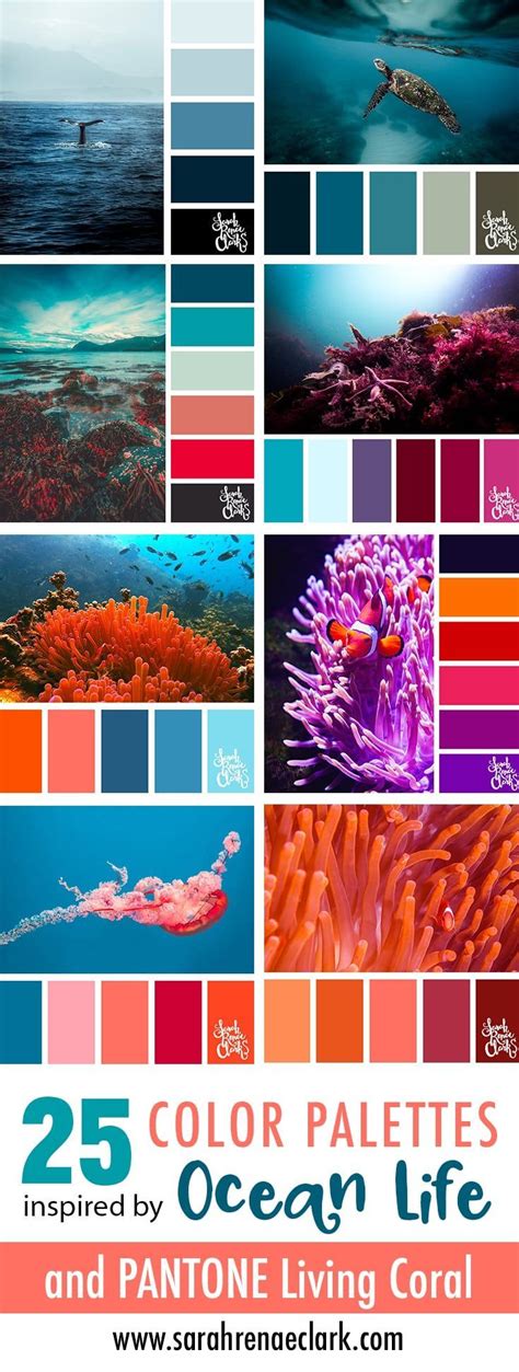 Coral Color Palettes 